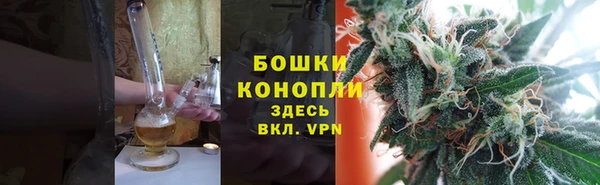 гидра Мегион
