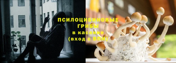 соль ск Одинцово