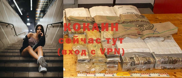 гидра Мегион