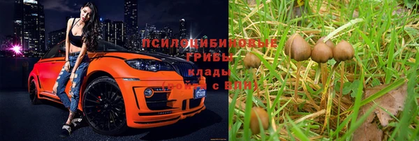 герыч Медвежьегорск