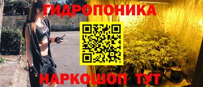 скорость Можга