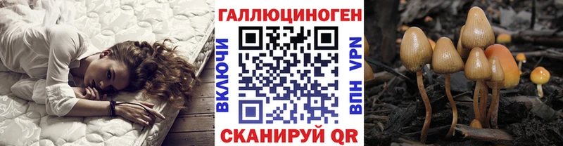 KRAKEN вход  как найти наркотики  Шатура  Галлюциногенные грибы прущие грибы 
