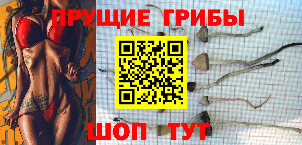 цены наркотик  Галлюциногенные грибы прущие грибы  Галлюциногенные грибы ЛСД  Вход с VPN  Шатура 