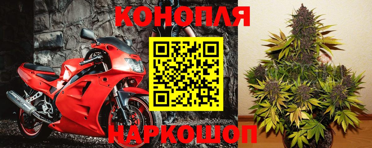 Шишки марихуана OG Kush  МАРИХУАНА план  Шатура  Вход с VPN  Бошки марихуана Bruce Banner 